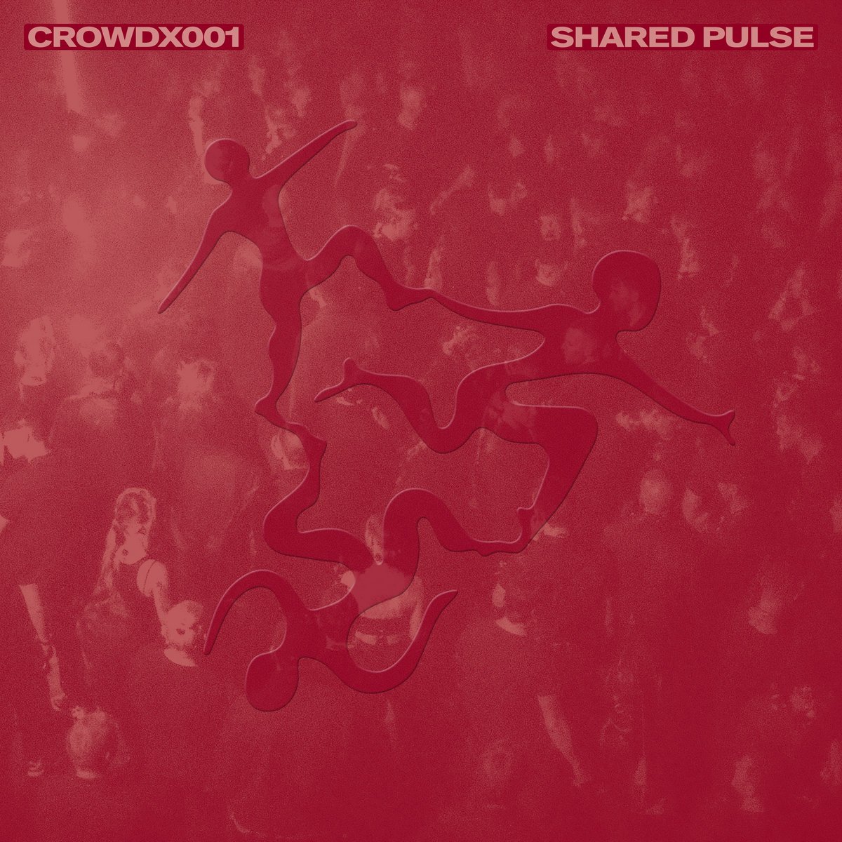 CROWDX001 (V.A.)
